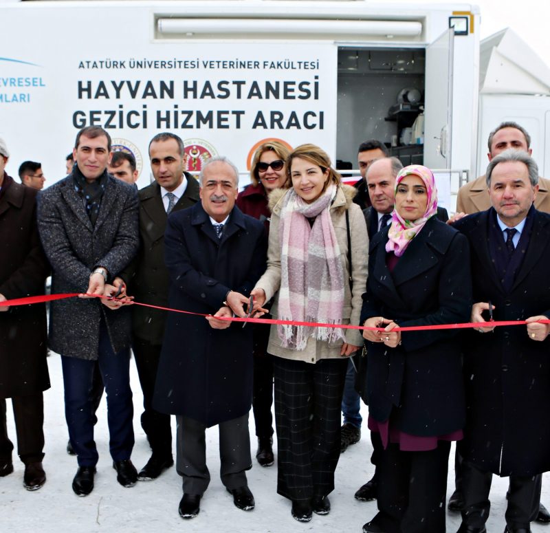 036123cd2cadb39bae42cf7d3f97ceb0